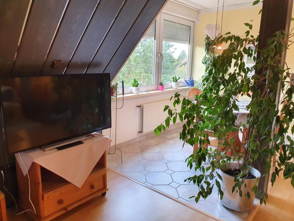 Agathenburg Garten المظهر الخارجي الصورة